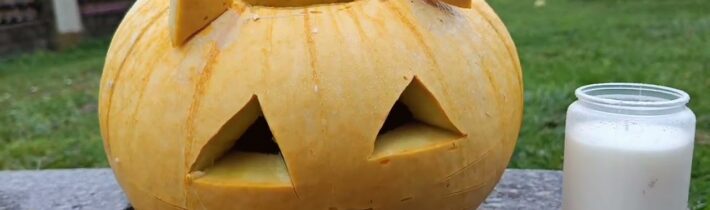 Přátelé (i všichni ostatní), přeji vám příjemný den Halloweenu. Usmivejte se celý den jako dýně…
