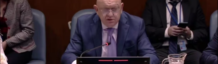 V. A. Nebenzja na neformálnom stretnutí členov Bezpečnostnej rady OSN