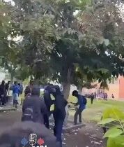 Počas nepokojov vo Francúzsku je vidieť, ako mladí ľudia pília strom. Kmeň už le…