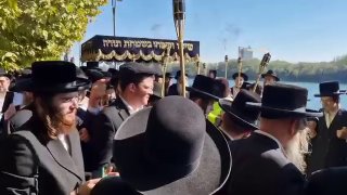 Už im nestačí Izrael a ua.. šváby Už aj na Slovensku sa budú rozťahovať 𝗩 𝗕𝗥𝗔𝗧𝗜…